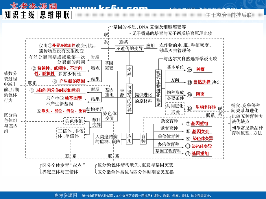 2017二轮专题复习生物课件：第四单元 专题三 生物的变异、育种与进化.ppt_第2页