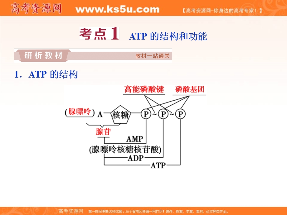 2019优化方案高考生物一轮复习课件：第9讲 ATP及其主要来源——细胞呼吸 .ppt_第3页