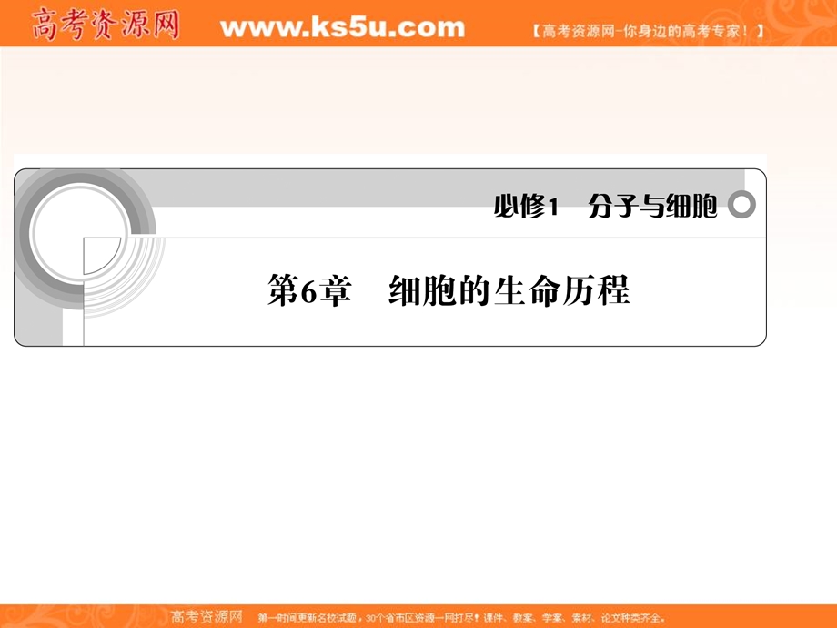 2012一轮精品课件：生物人教版必修一第6章 细胞的生命历程.ppt_第1页