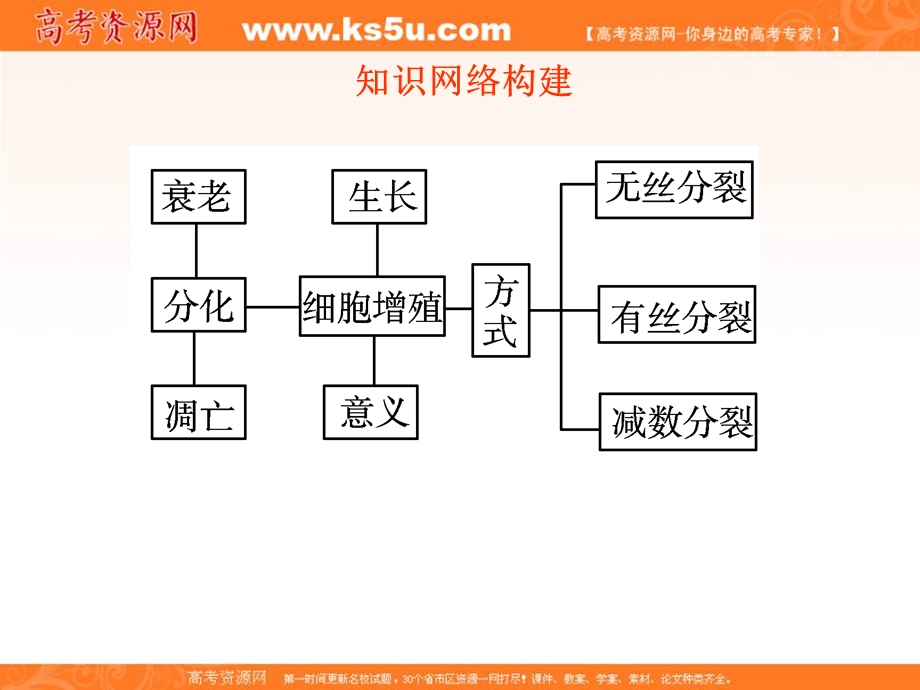 2012一轮精品课件：生物人教版必修一第6章 细胞的生命历程.ppt_第3页