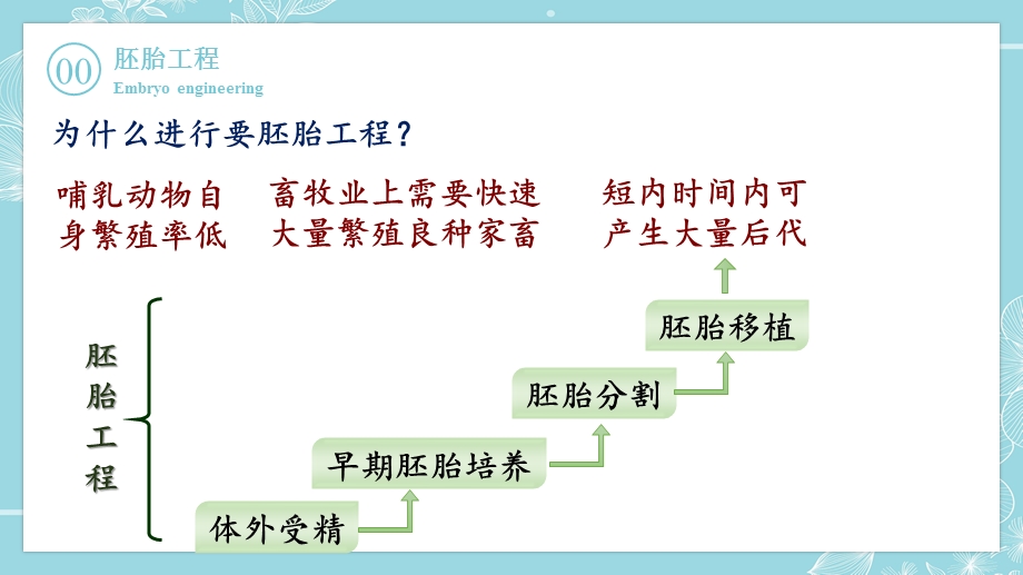 2-3-1 胚胎工程的理论基础 课件-2021-2022学年高二下学期生物人教版（2019）选择性必修3.pptx_第2页