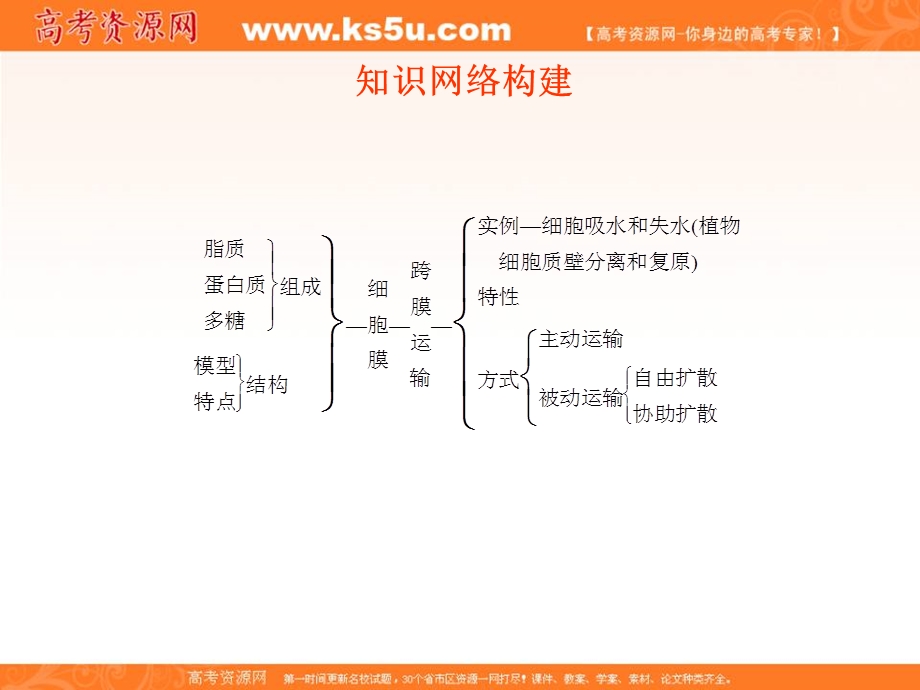 2012一轮精品课件：生物人教版必修一第4章 细胞的物质输入和输出.ppt_第3页