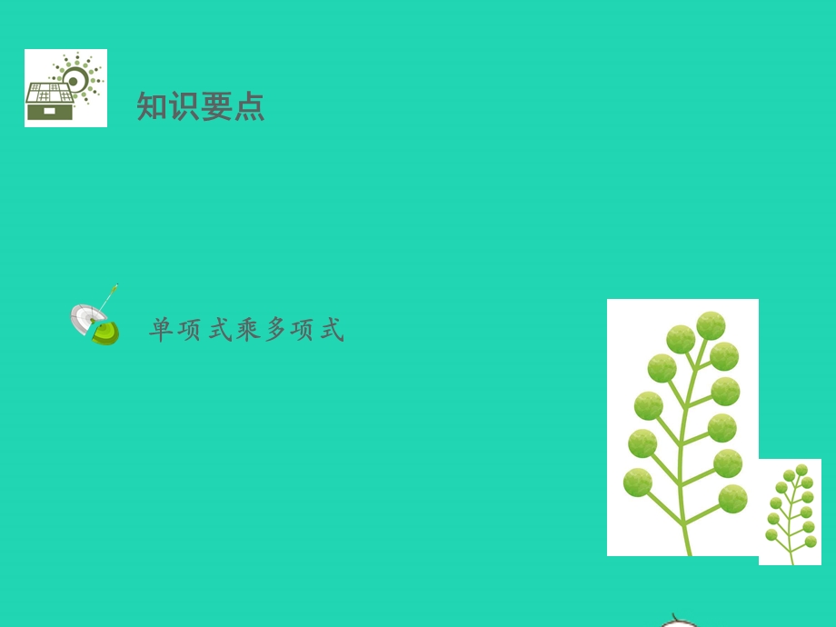 七年级数学下册 第一章 整式的整除 4 整式的乘法第2课时 单项式乘多项式教学课件 （新版）北师大版.pptx_第2页