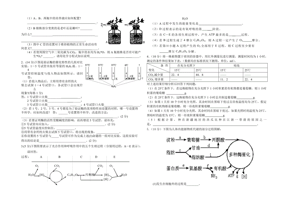 万杰学校高二生物12月考试题.doc_第3页