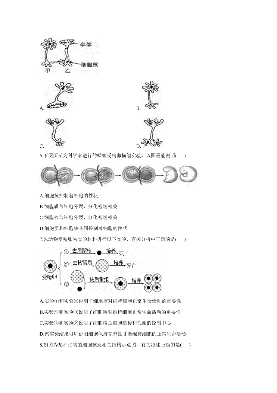 020-2021学年高一生物人教版必修一同步课时作业 （12）细胞核__系统的控制中心 WORD版含解析.doc_第2页