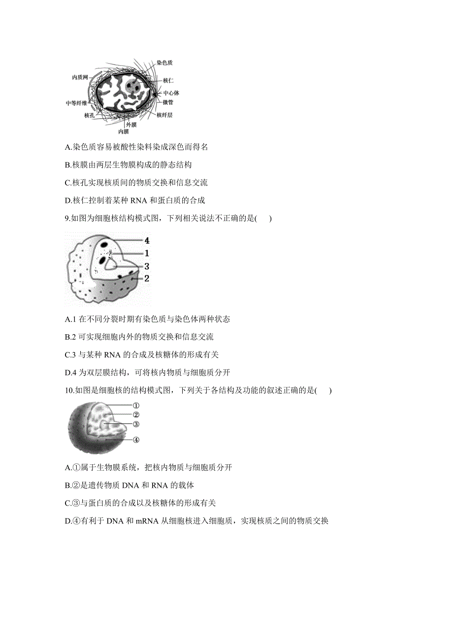 020-2021学年高一生物人教版必修一同步课时作业 （12）细胞核__系统的控制中心 WORD版含解析.doc_第3页