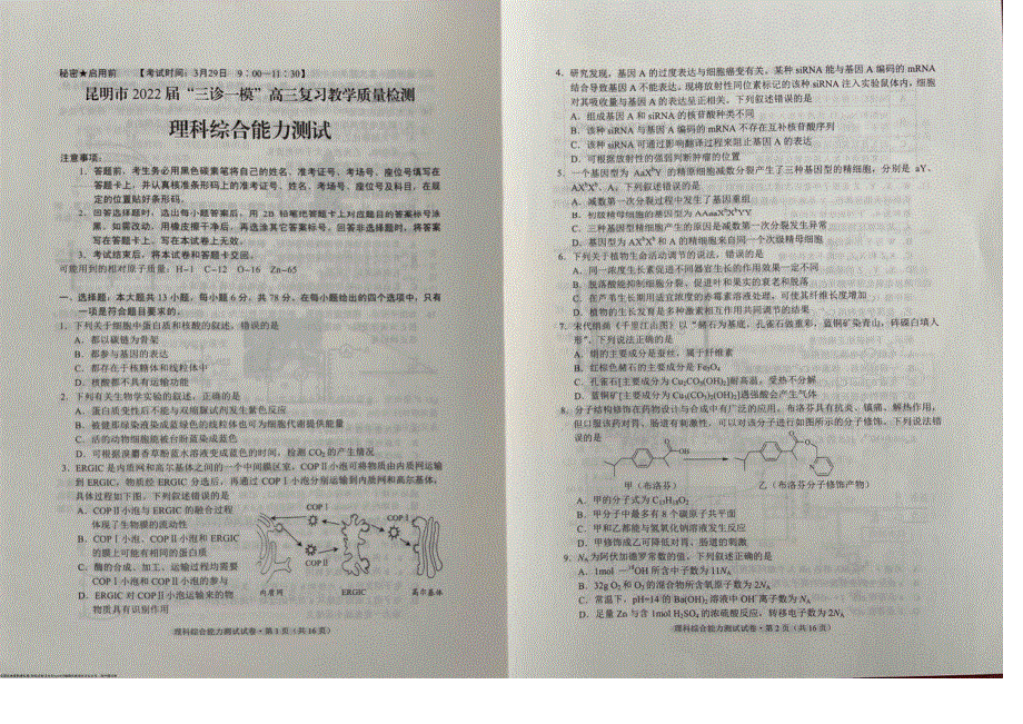 云南省昆明市2022届高三理综“三诊一模”复习教学质量检测试题（无答案）.pdf_第1页