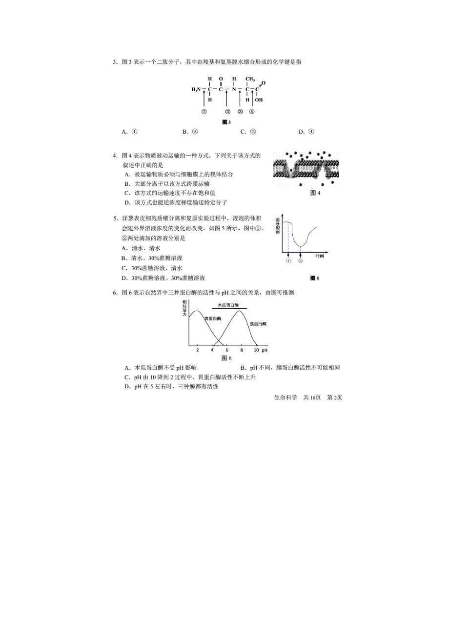 上海市2017届高三等级考试测试生物试卷 扫描版含答案.doc_第2页