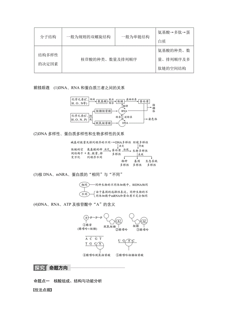 2018版新步步高高考生物（人教版 全国通用）大一轮复习讲义：第一单元 细胞的概述及其分子组成 第4讲 .docx_第3页
