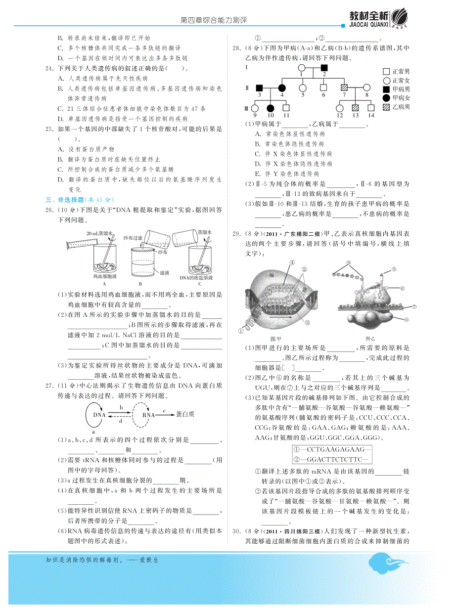 2014年高中生物人教版必修二试题：第四章综合能力测评·高中生物苏教版必修2-深度解析 PDF版含解析.pdf_第3页