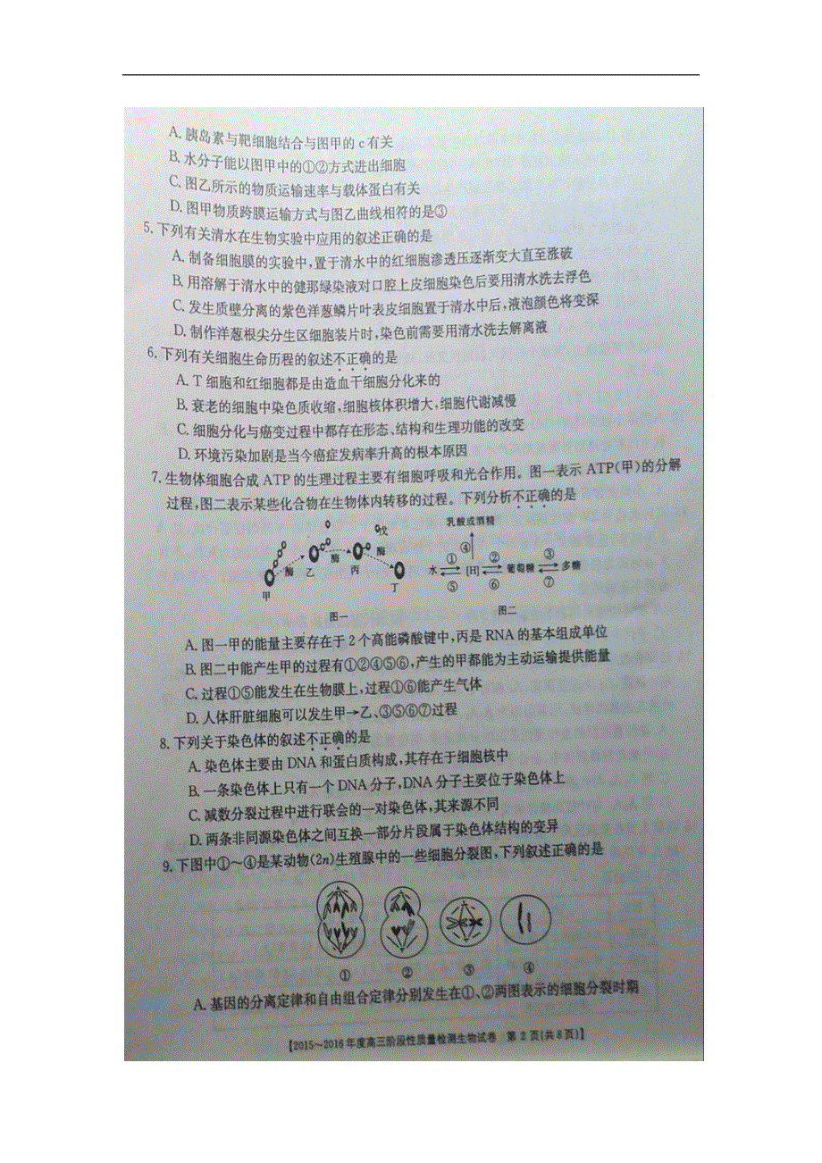 五岳联考2016届高三阶段性质量检测生物试题 扫描版含答案.doc_第2页