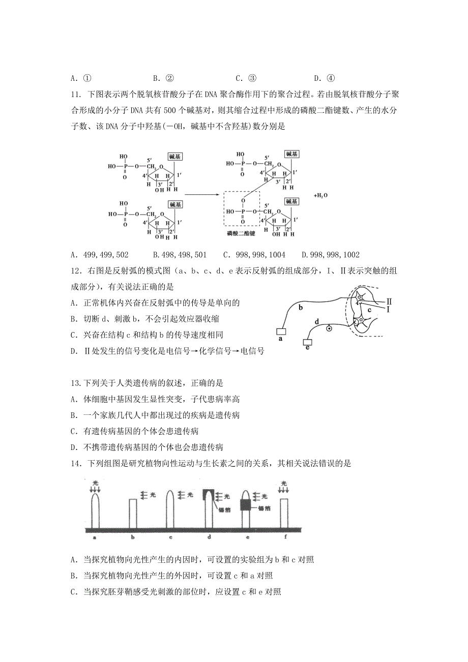 上海市十二校2013届高三上学期12月联考生物试题WORD版无答案.doc_第2页