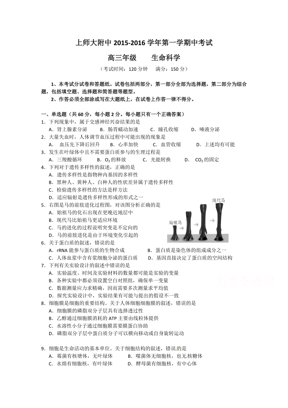 上师大附中2016届高三上学期期中考试生物试卷 WORD版无答案.doc_第1页