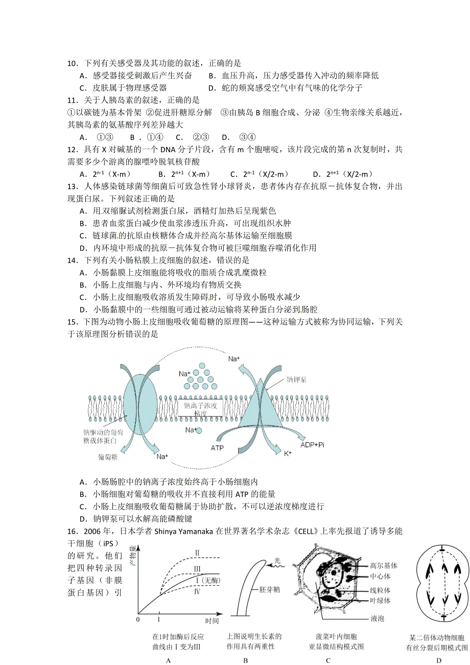 上师大附中2016届高三上学期期中考试生物试卷 WORD版无答案.doc_第2页