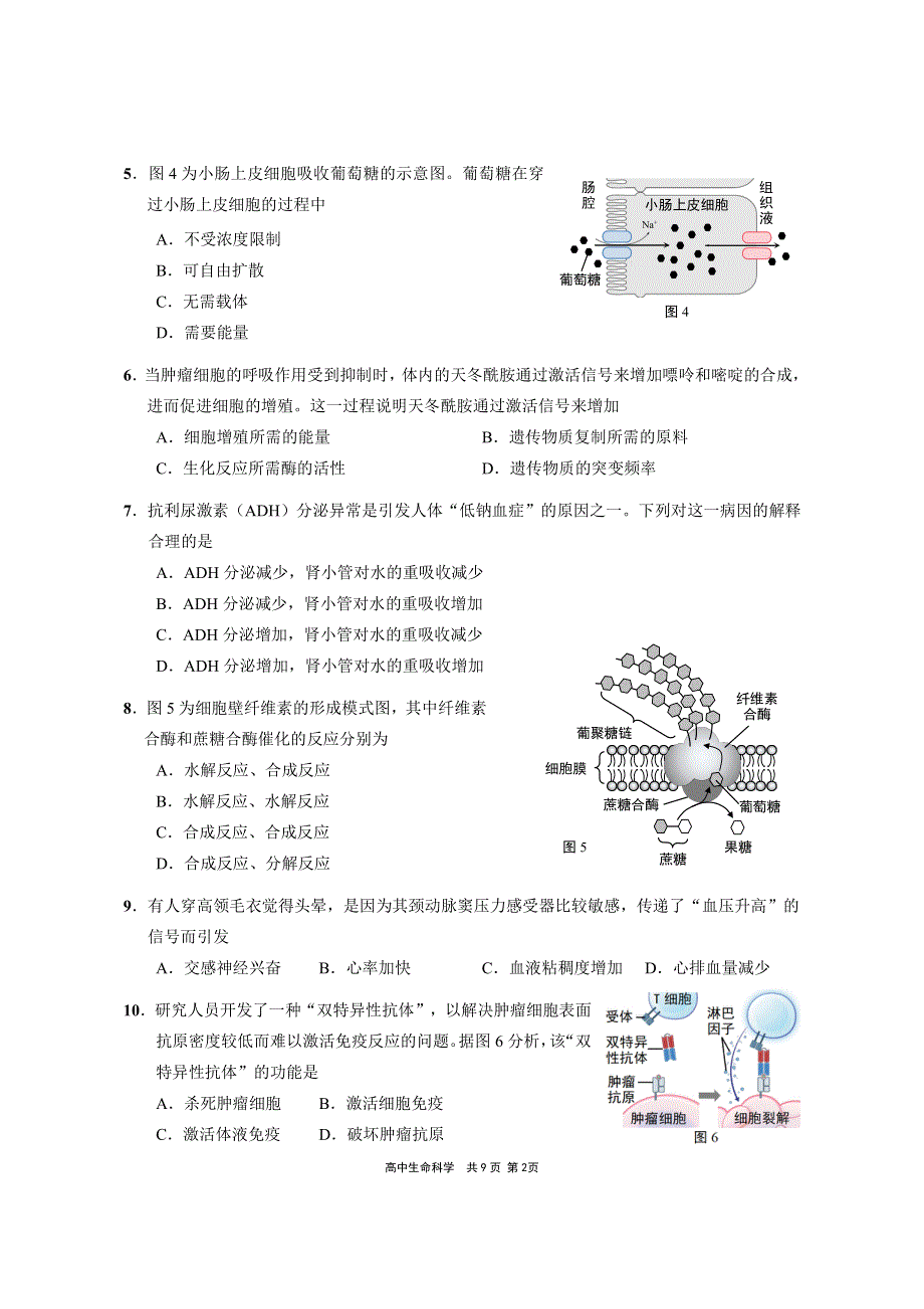 上海市崇明区2021届高三生物下学期4月第二次模拟考试（二模）试题（PDF）.pdf_第2页