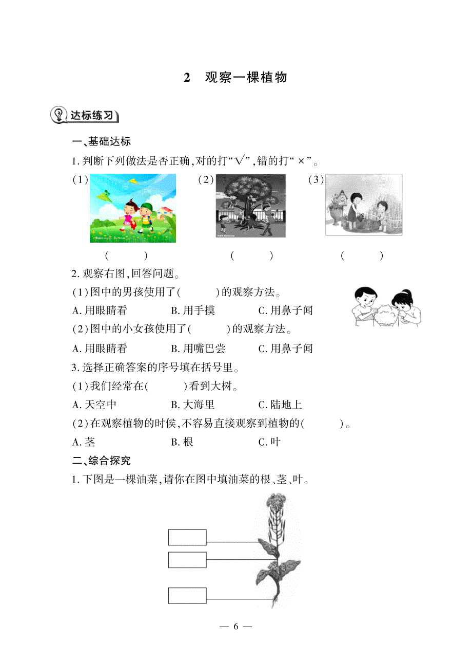 一年级科学上册 第一单元 植物 2 观察一颗植物同步作业（pdf无答案）（新版）教科版.pdf_第1页