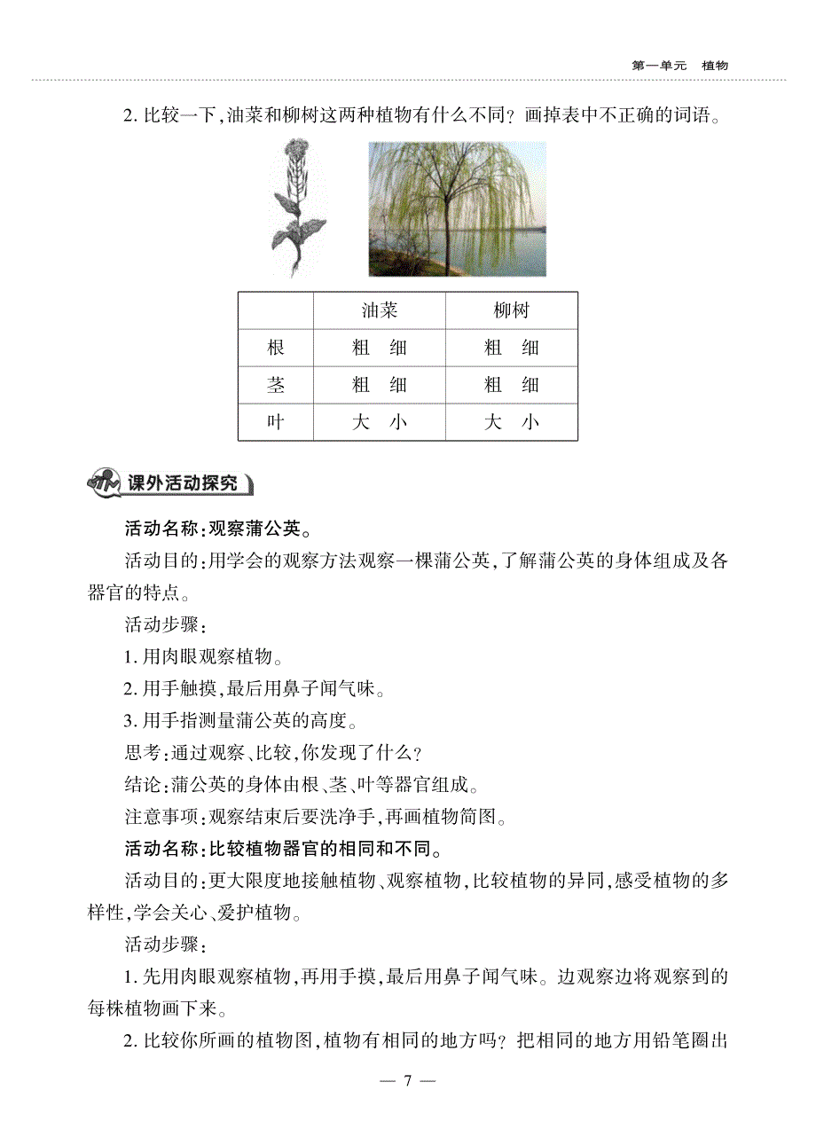 一年级科学上册 第一单元 植物 2 观察一颗植物同步作业（pdf无答案）（新版）教科版.pdf_第2页