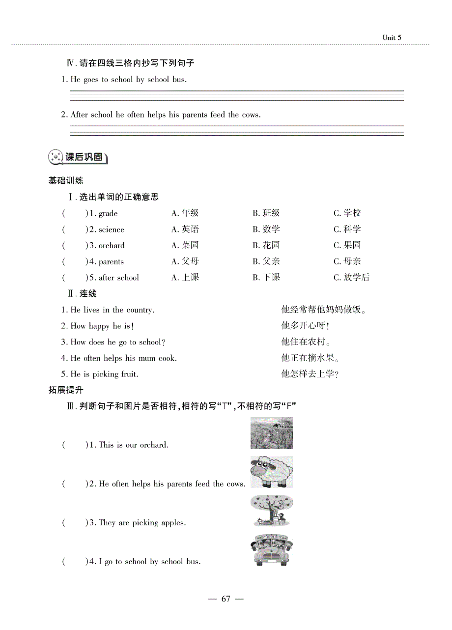 五年级英语下册 Unit 5 Country Life Lesson 3 He goes to school by school bus同步作业（pdf无答案）鲁科版（五四制）.pdf_第2页