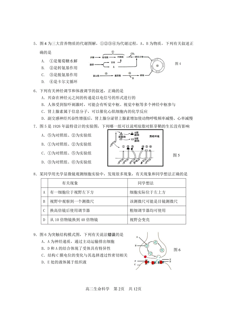 上海市松江区2020-2021学年高二上学期期末考试生物试题 PDF版含答案.pdf_第2页