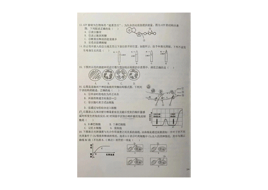 上海零陵中学2020-2021学年高二上学期期中考试生物试题 图片版含答案.pdf_第3页