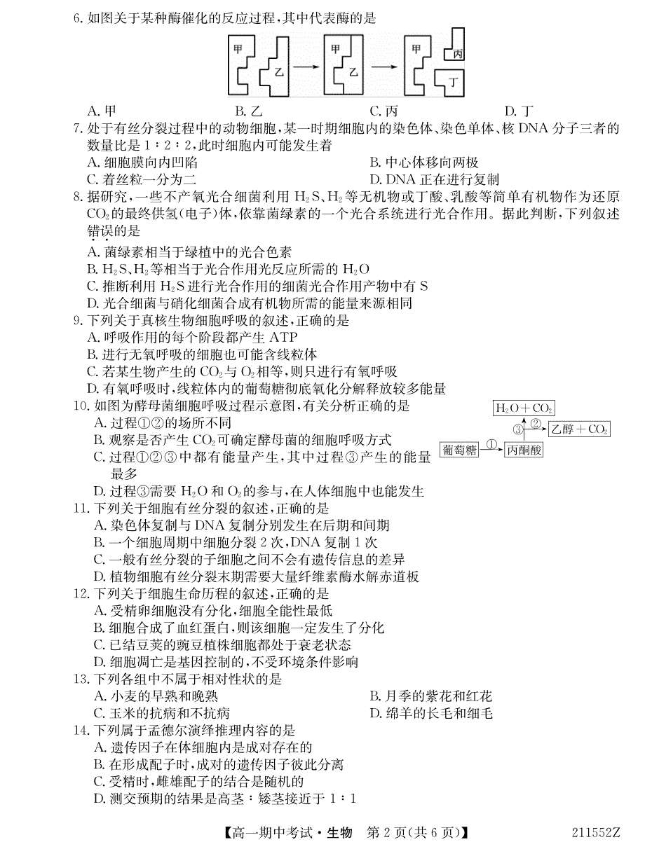 云南省会泽县茚旺高级中学2020-2021学年高一下学期期中考试生物试题 PDF版含答案.pdf_第2页