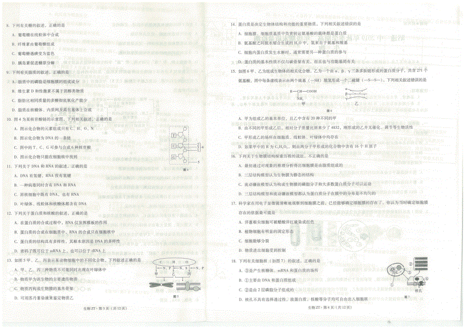 云南省昭通第一中学2019-2020学年高二上学期期末考试生物试题 PDF版缺答案.pdf_第2页