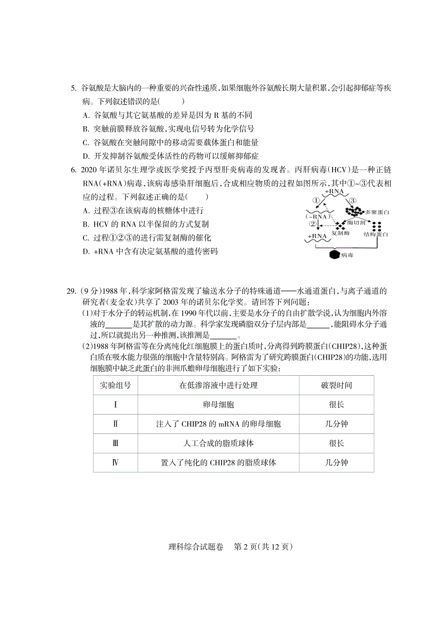 四川省凉山州2021-2022学年高三上学期第一次诊断测试生物试题 PDF版含答案.pdf_第2页