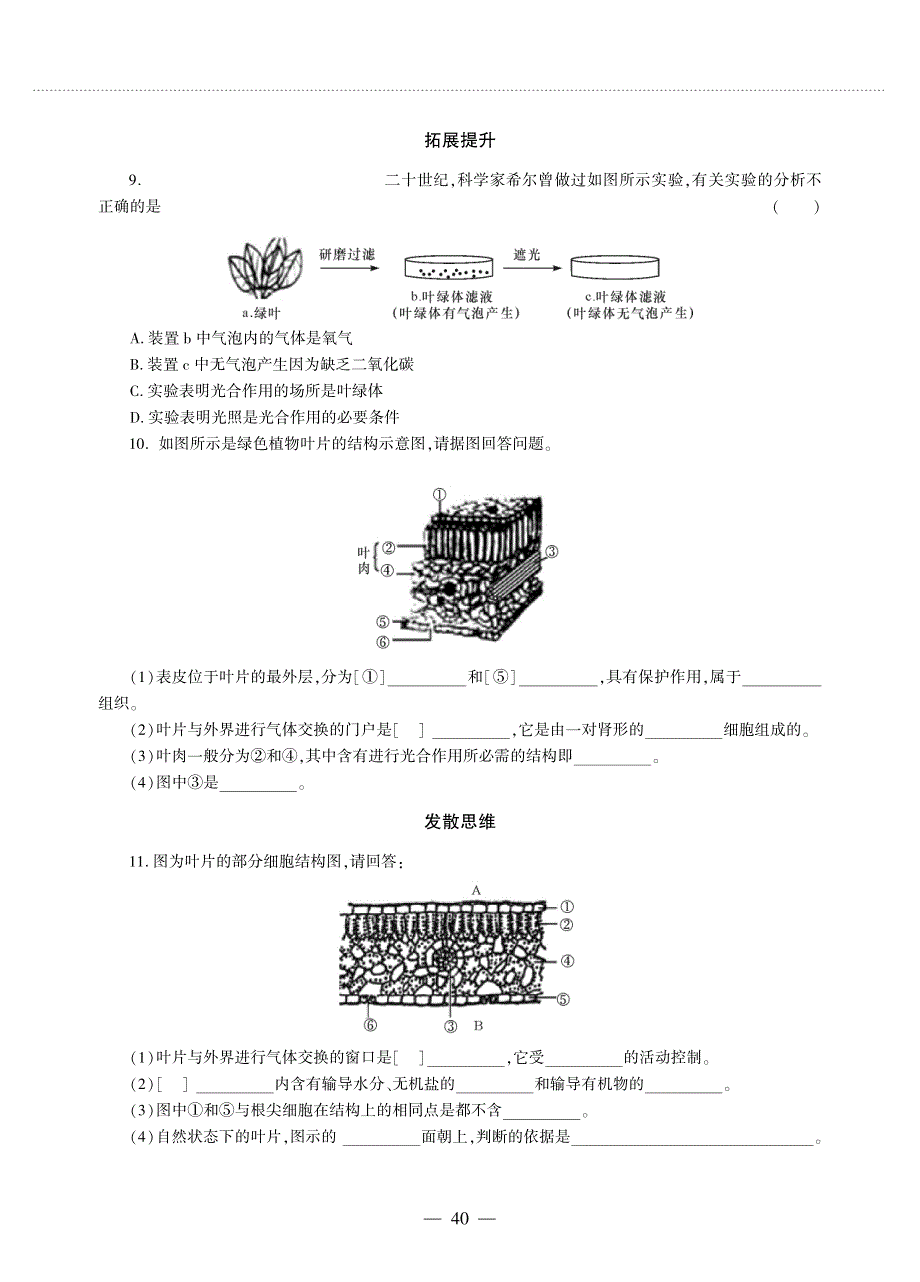 七年级生物上册 第3单元 生物圈中的绿色植物 第6章 绿色植物的光合作用和呼吸作用 第二节 植物光合作用的场所同步作业（pdf无答案）（新版）苏教版.pdf_第2页