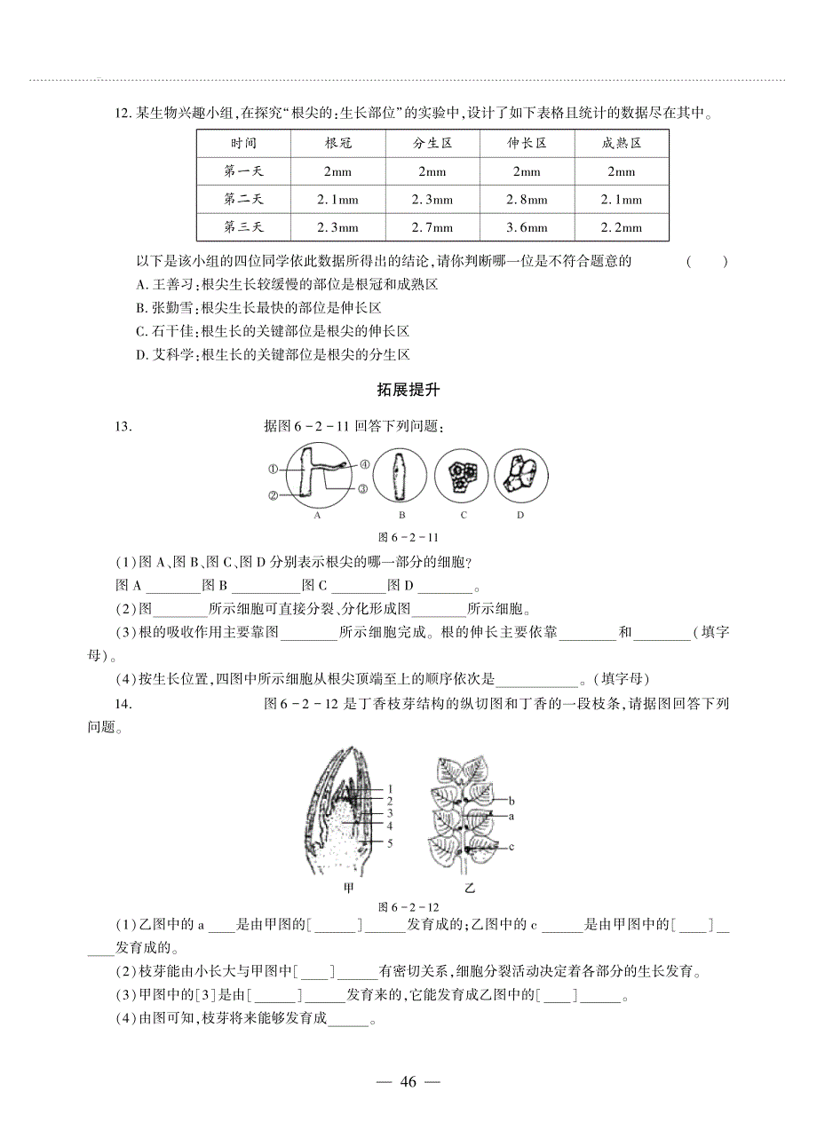 七年级生物上册 第三单元 生物圈中的绿色植物第6章 绿色开花植物的生活史 第2节 营养器官的生长同步作业（pdf无答案）（新版）北师大版.pdf_第2页