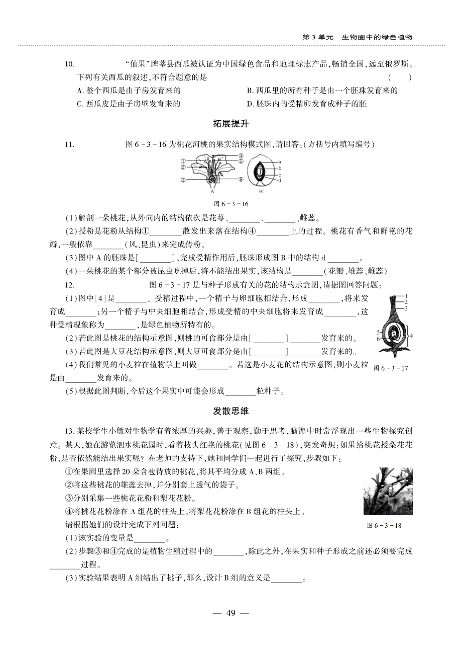 七年级生物上册 第三单元 生物圈中的绿色植物第6章 绿色开花植物的生活史 第3节 生殖器官的生长同步作业（pdf无答案）（新版）北师大版.pdf_第2页