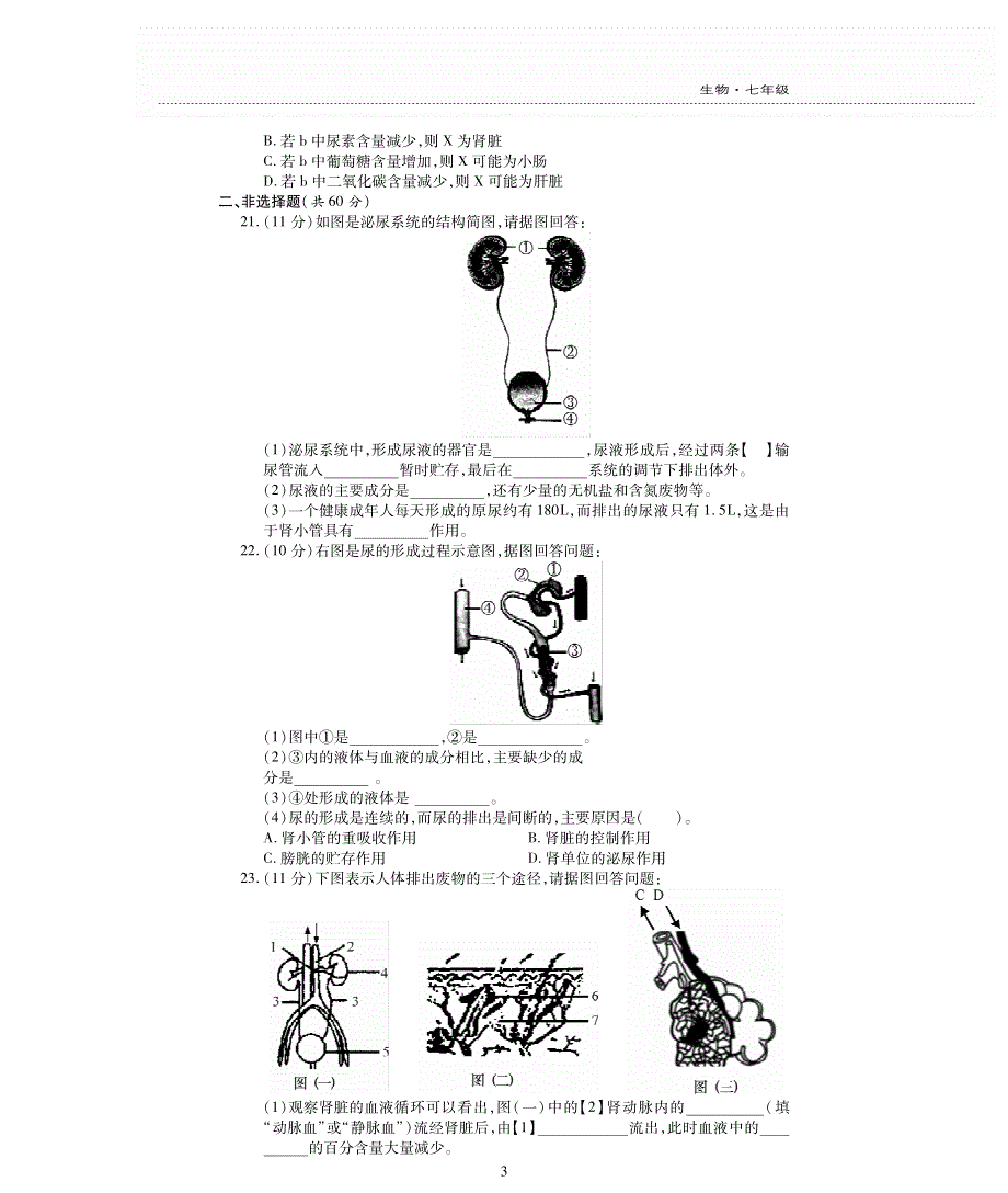 七年级生物下册 第四单元 生物圈中的人 第五章 人体内废物的排出评估测试题（pdf无答案）（新版）新人教版.pdf_第3页