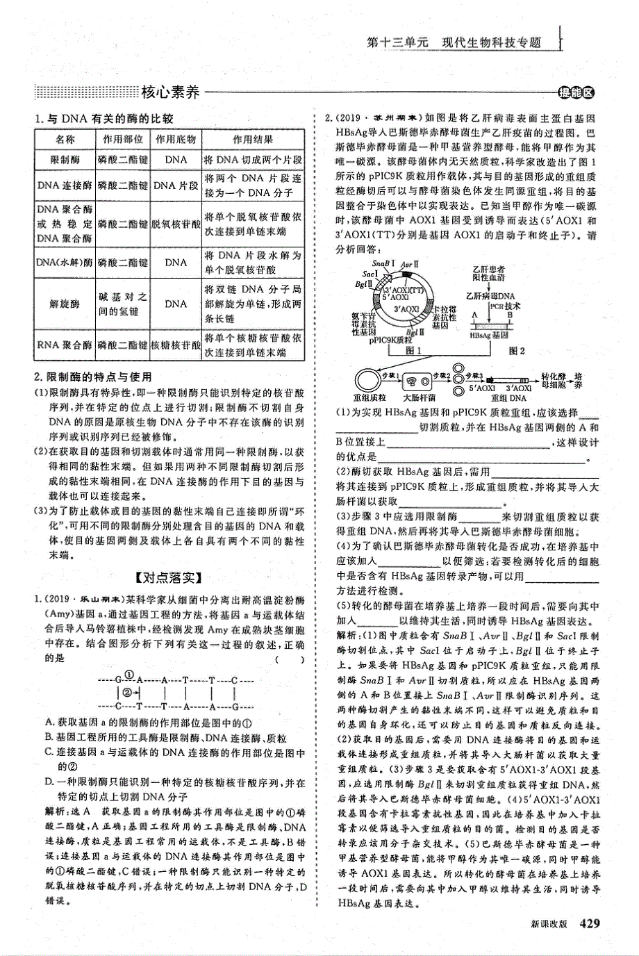 2021年高考生物一轮复习 第13单元 现代生物科技专题 第1讲 基因工程 考点1 基因过程的操作工具教案（PDF）.pdf_第2页