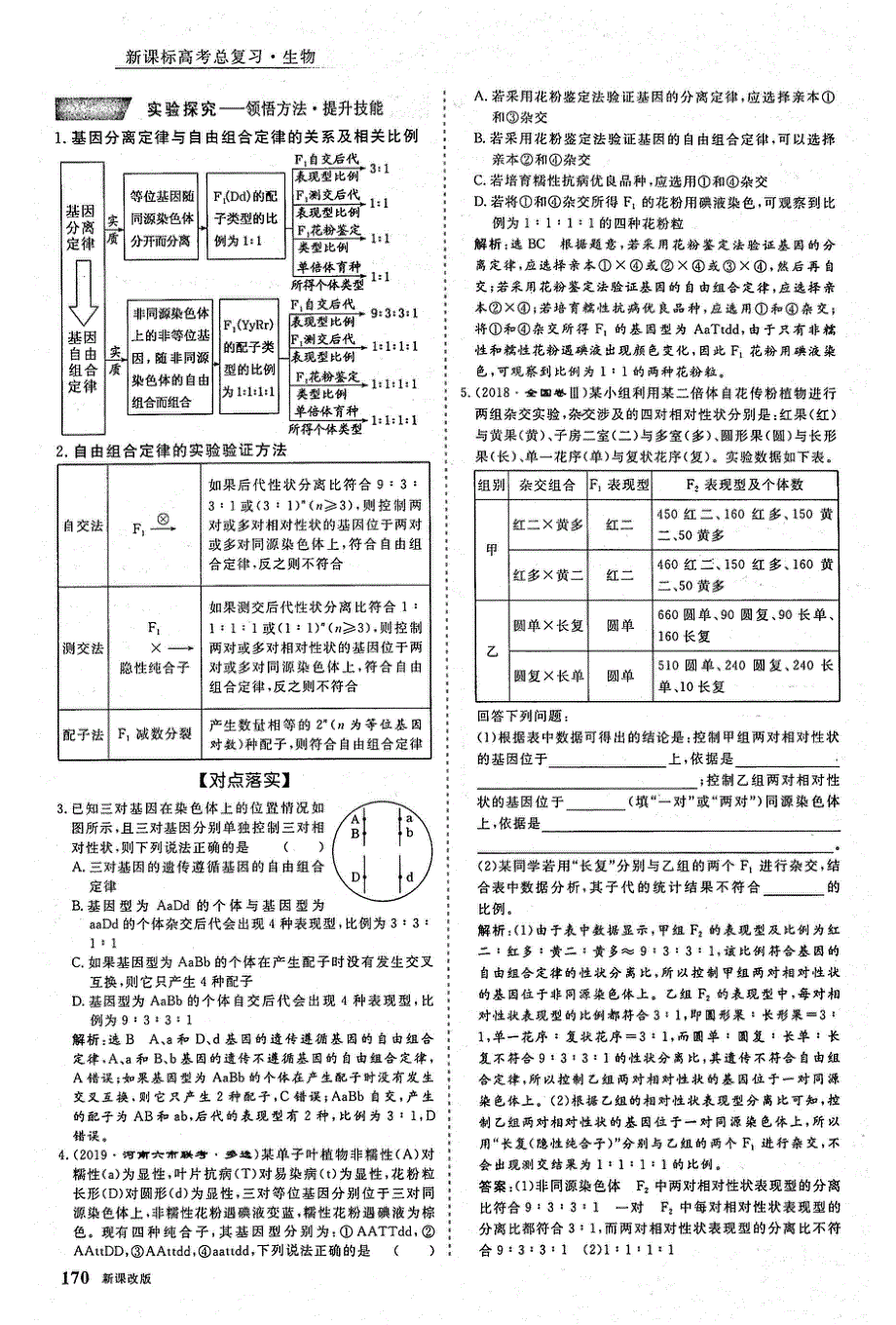 2021年高考生物一轮复习 第5单元 遗传的基本规律与伴性遗传 第2讲 孟德尔的豌豆杂交实验2 考点1 两队相对性状杂交实验与自由组合定律教案（PDF）.pdf_第3页