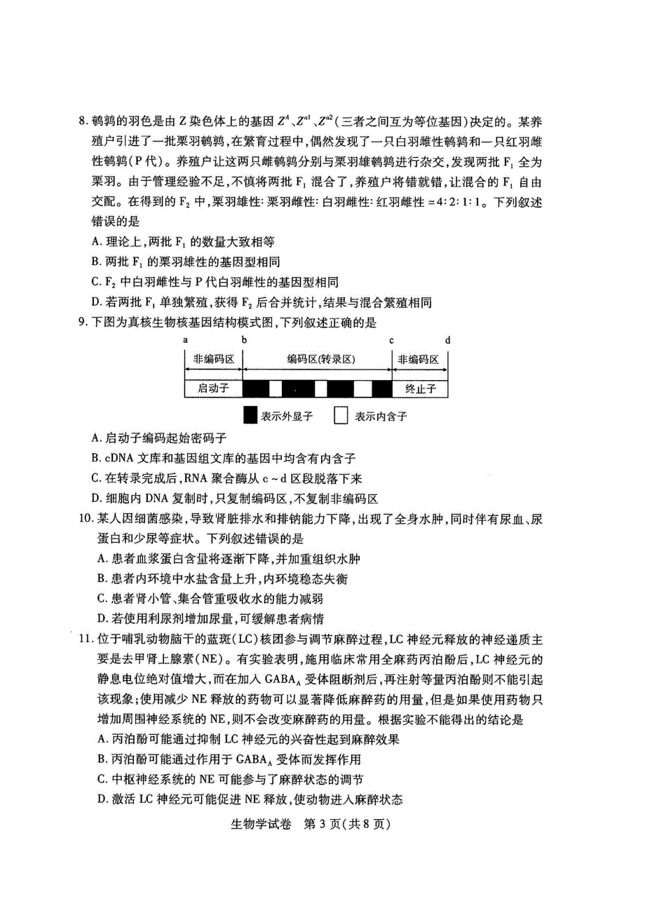 《名校》武汉市2022届高中毕业生二月调研考试 生物试卷及答案 PDF版含答案.pdf_第3页