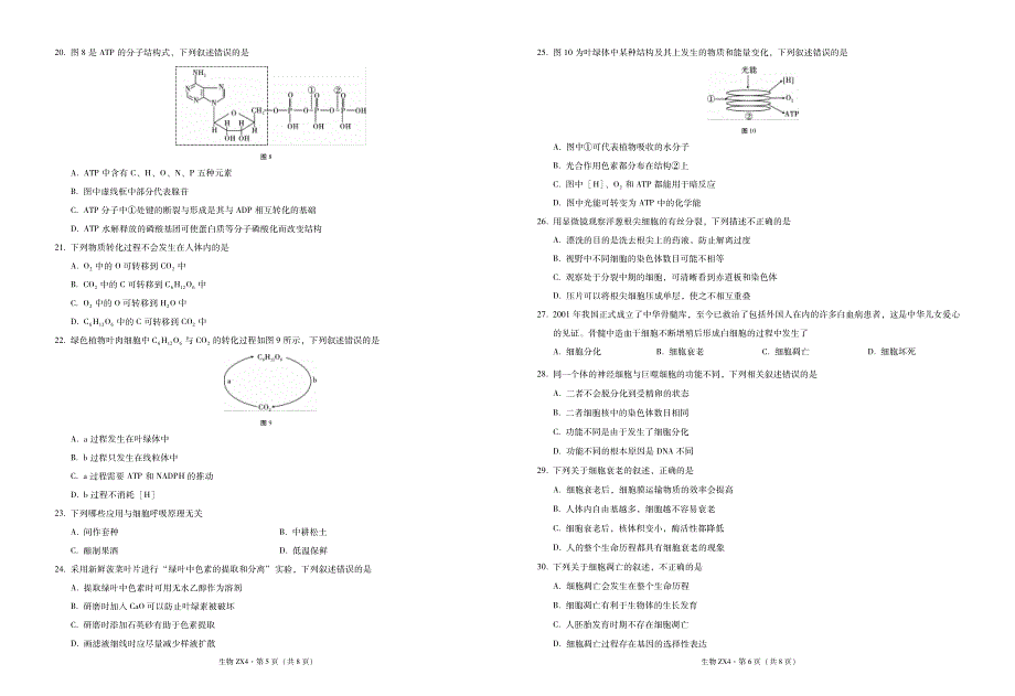 云南省镇雄县第四中学2020-2021学年高一生物上学期期末考试试题（PDF）.pdf_第3页