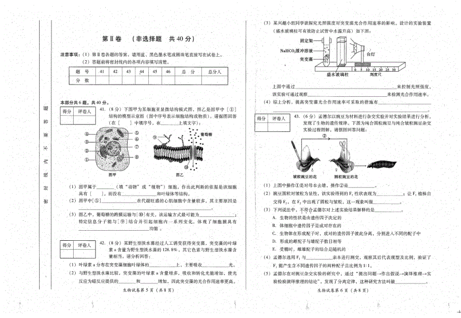 四川省普通高中2019-2020学年高二上学期学业水平考试生物试题 PDF版缺答案.pdf_第3页