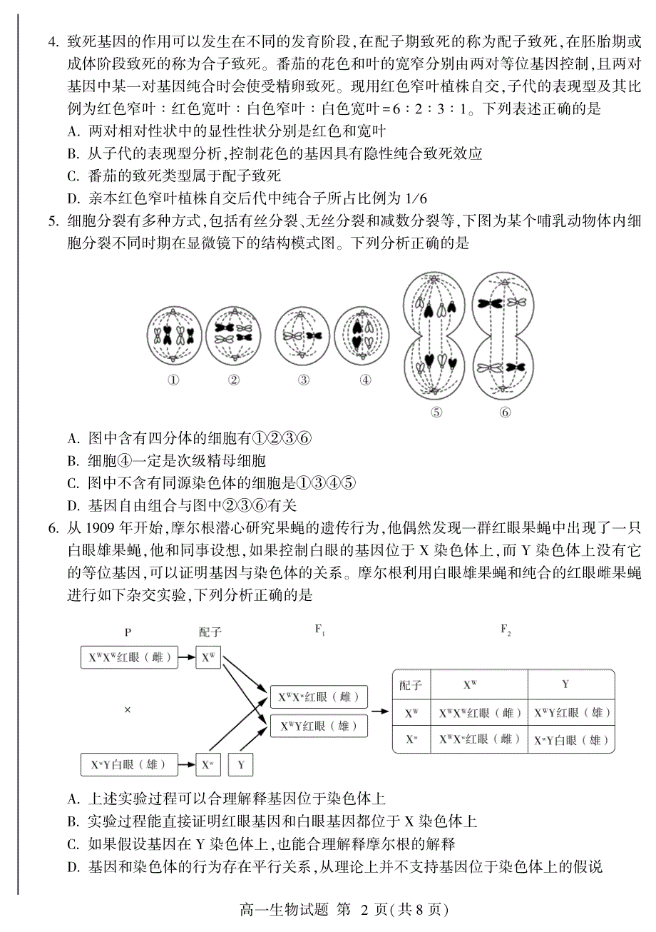 山东省临沂市兰山区、兰陵县2020-2021学年高一下学期期中考试生物试题 PDF版含答案.pdf_第2页