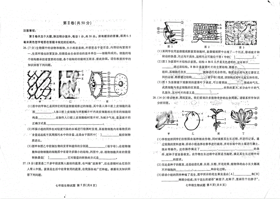 山东省临沂市2020-2021学年度七年级生物上学期期末质量检测试题（pdf无答案）.pdf_第3页