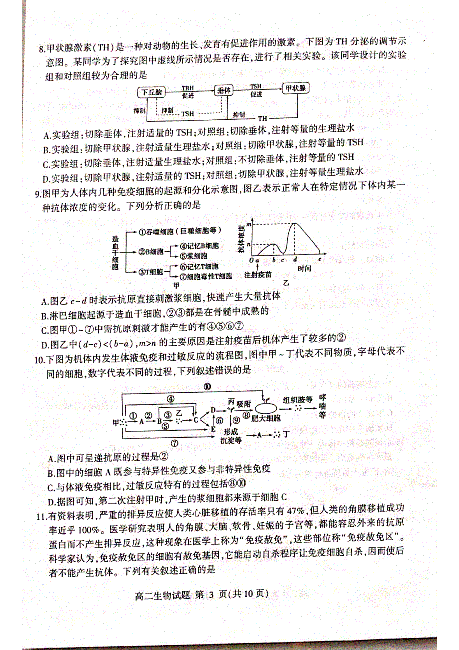 山东省临沂市河东区、费县2021-2022学年高二上学期中考试生物试题 扫描版含答案.pdf_第3页