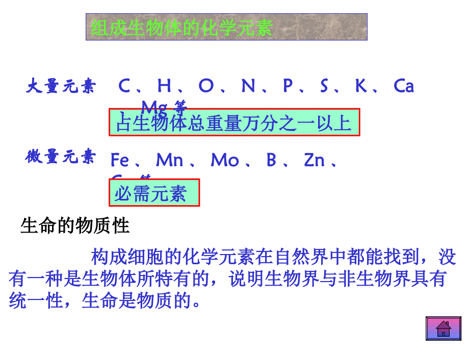 生物1.pps_第3页